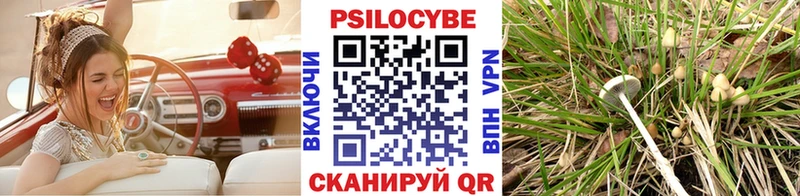 Галлюциногенные грибы прущие грибы Добрянка